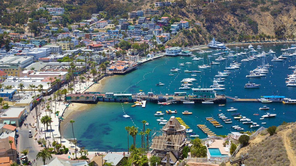 Catalina Island caracterizando vela, uma marina e uma cidade litorânea