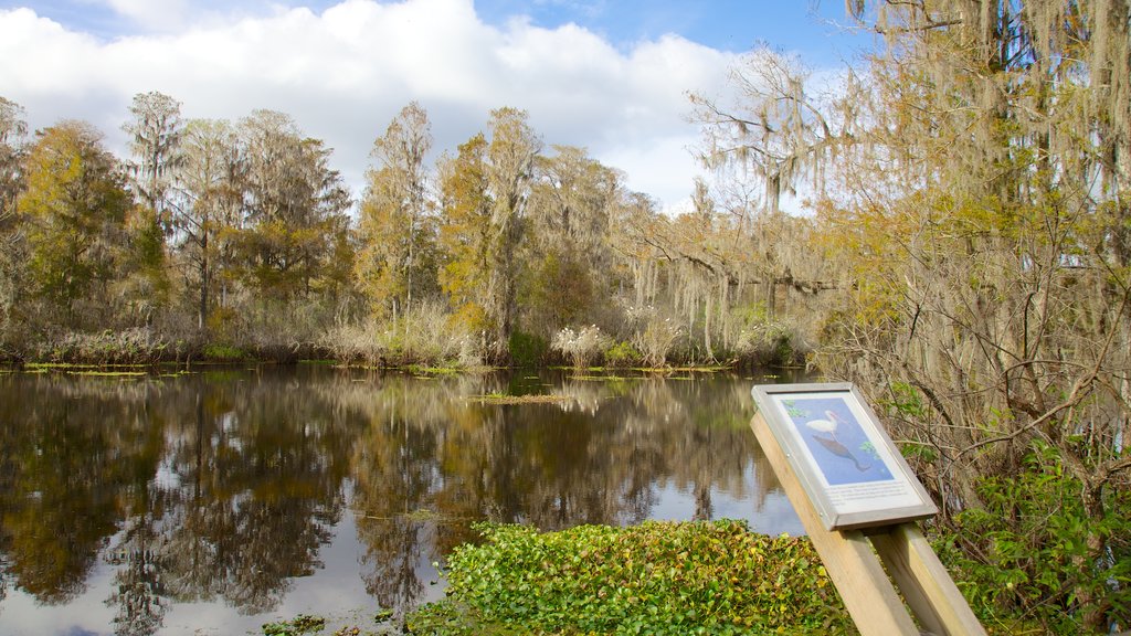 Lettuce Lake Park showing a lake or waterhole, landscape views and a park