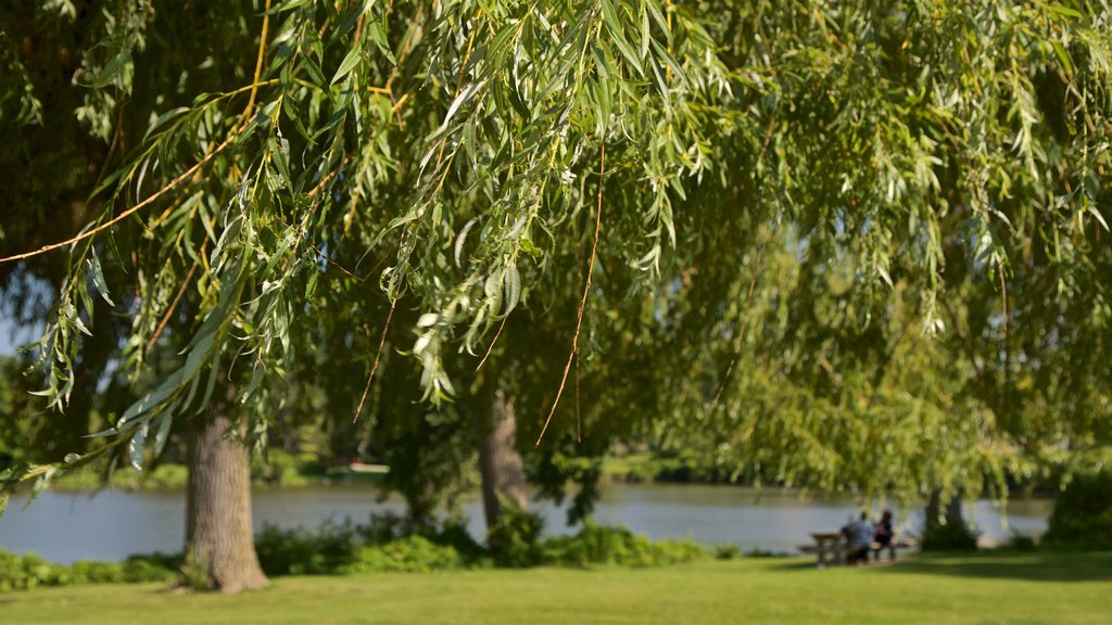 Ojibway Island showing a garden