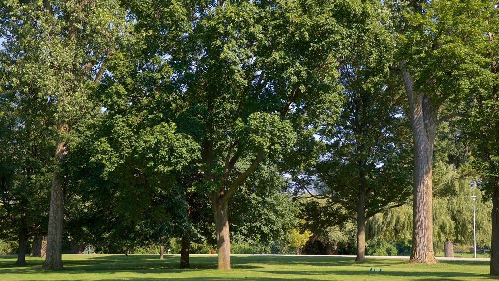 Ojibway Island which includes a garden