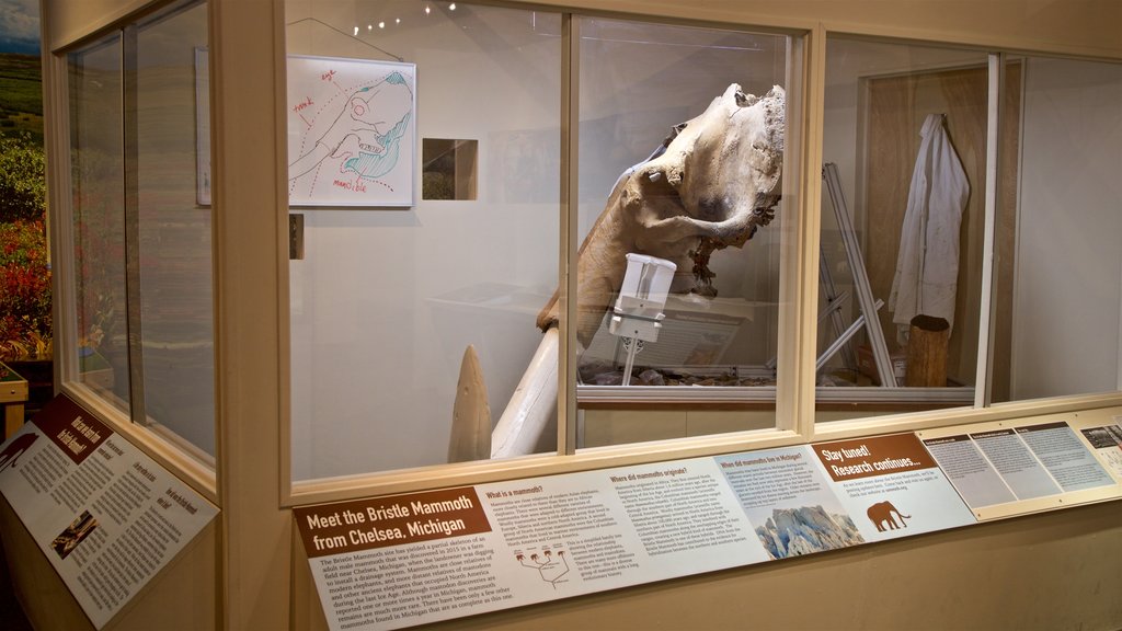 Exhibit Museum of Natural History at the University Of Michigan que incluye vistas interiores