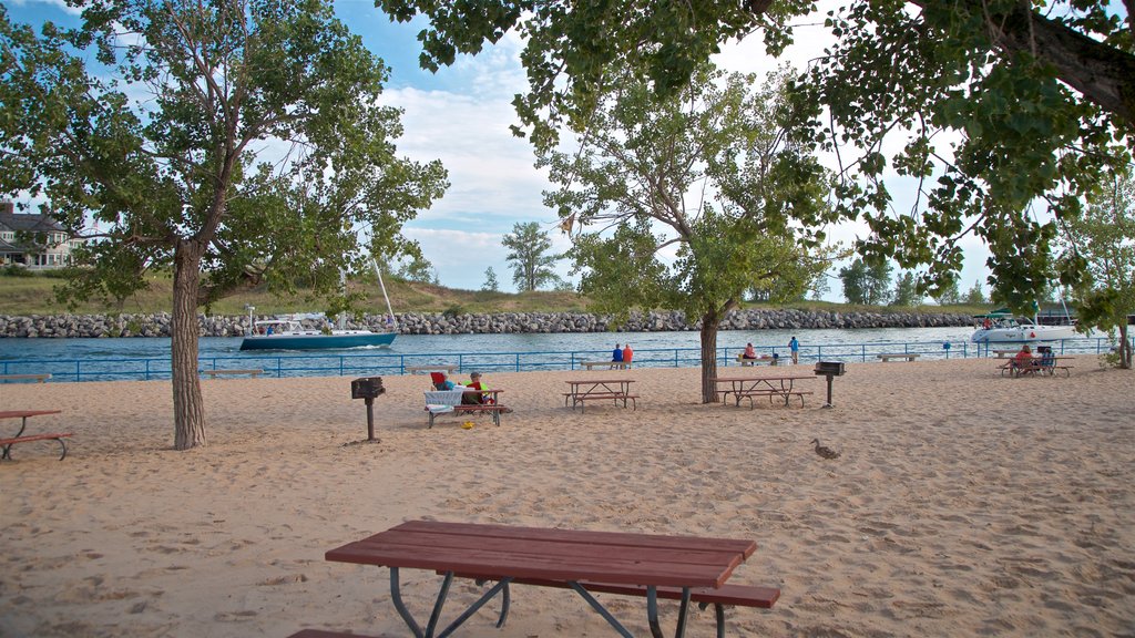 Holland State Park showing a sandy beach and a river or creek