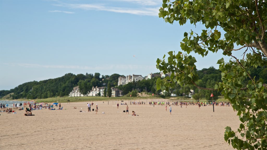 Holland State Park mostrando paisagens litorâneas e uma praia de areia assim como um grande grupo de pessoas