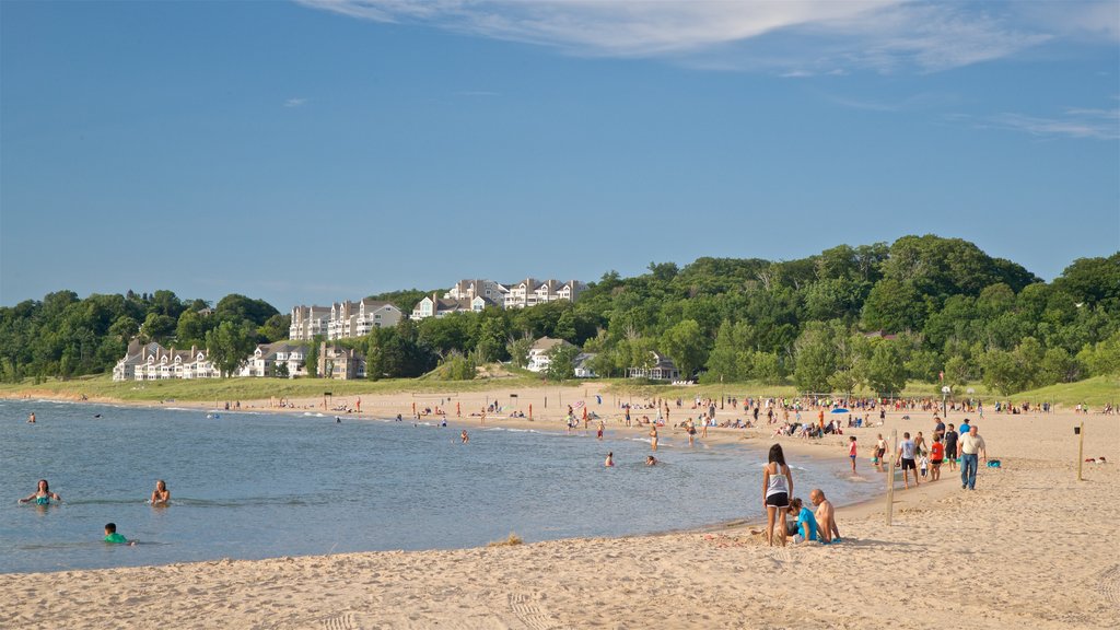 Holland State Park showing a beach and general coastal views as well as a large group of people