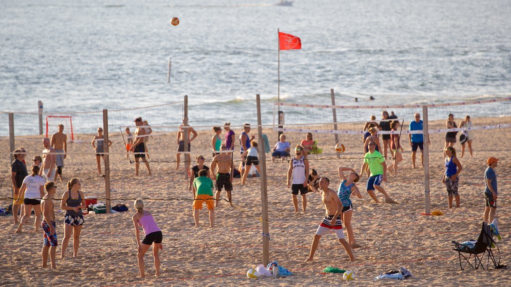 Holland State Park que incluye una playa y vista general a la costa y también un pequeño grupo de personas