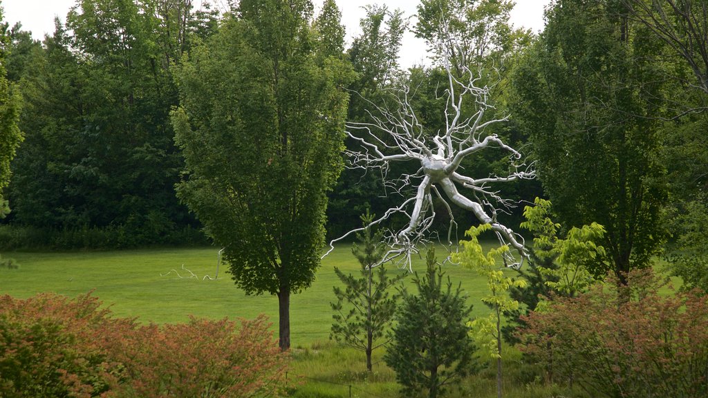 Frederik Meijer Gardens and Sculpture Park que incluye un jardín y arte al aire libre