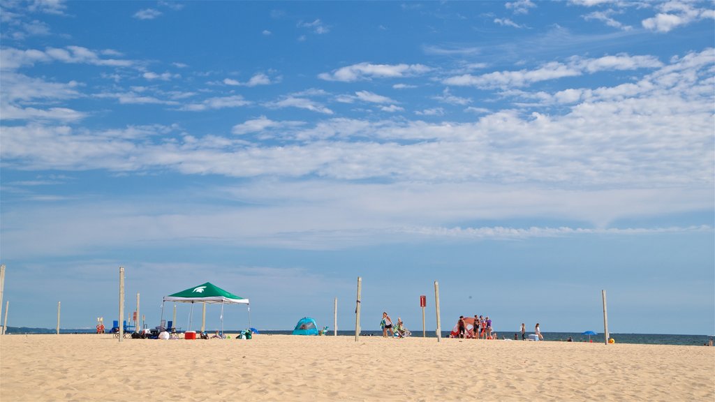 Pere Marquette Park Beach que inclui paisagens litorâneas e uma praia de areia assim como um pequeno grupo de pessoas