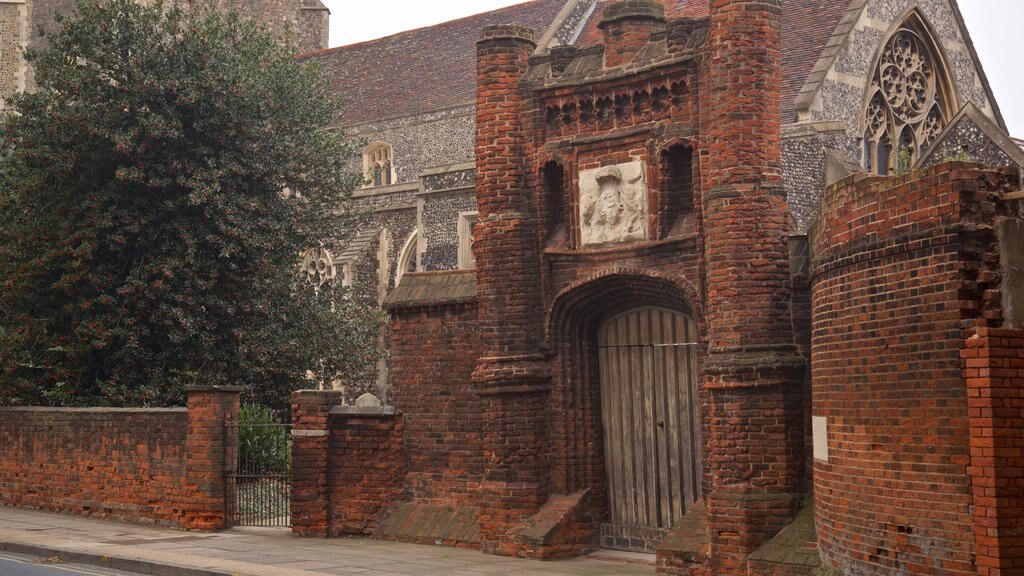 Wolsey\'s Gate showing heritage architecture