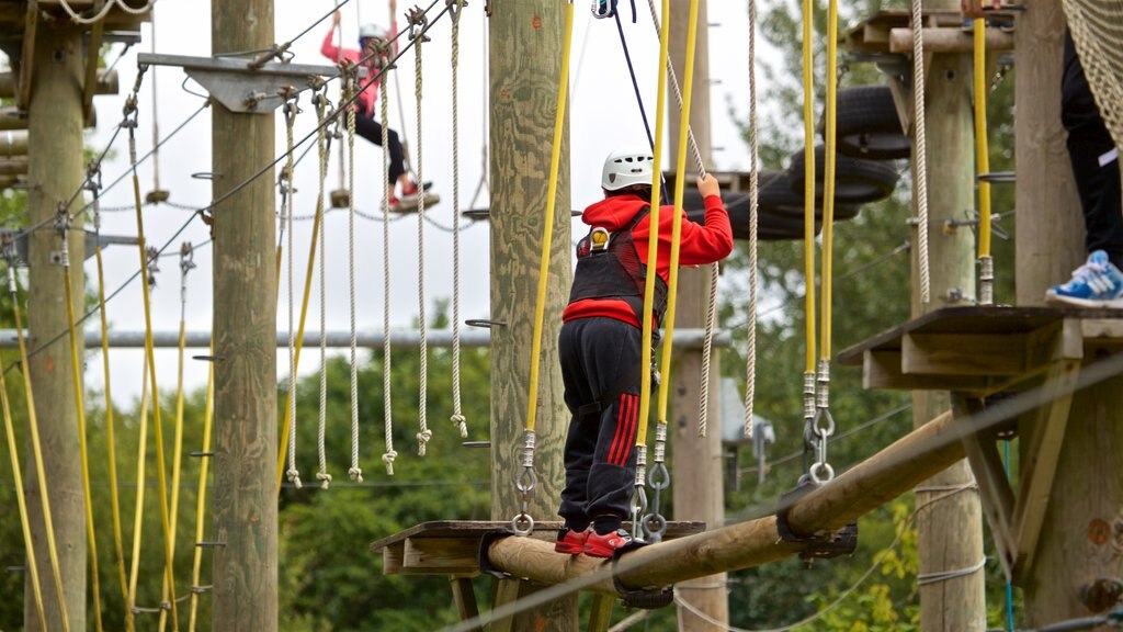 Creepy Valley Adventure Centre que inclui uma ponte suspensa ou passarela entre as árvores assim como uma mulher sozinha