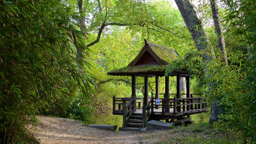 Saumarez Park showing a park and a pond