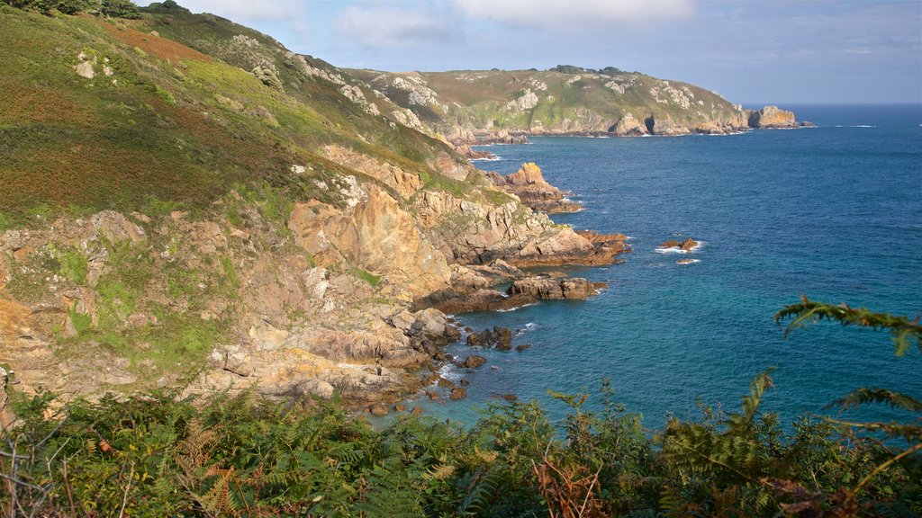 Petit Bot Bay which includes rugged coastline and general coastal views