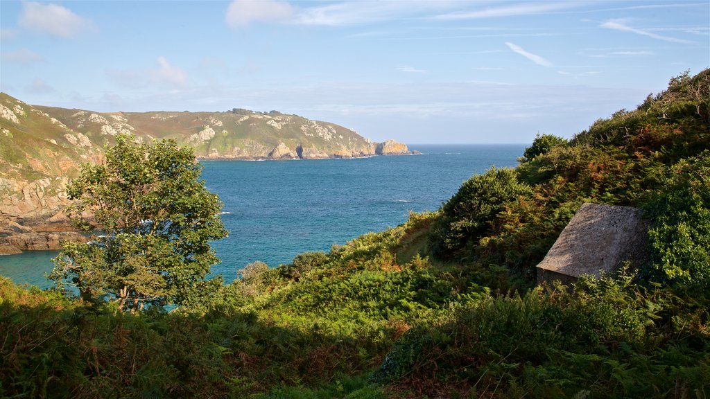 Petit Bot Bay showing general coastal views and rugged coastline