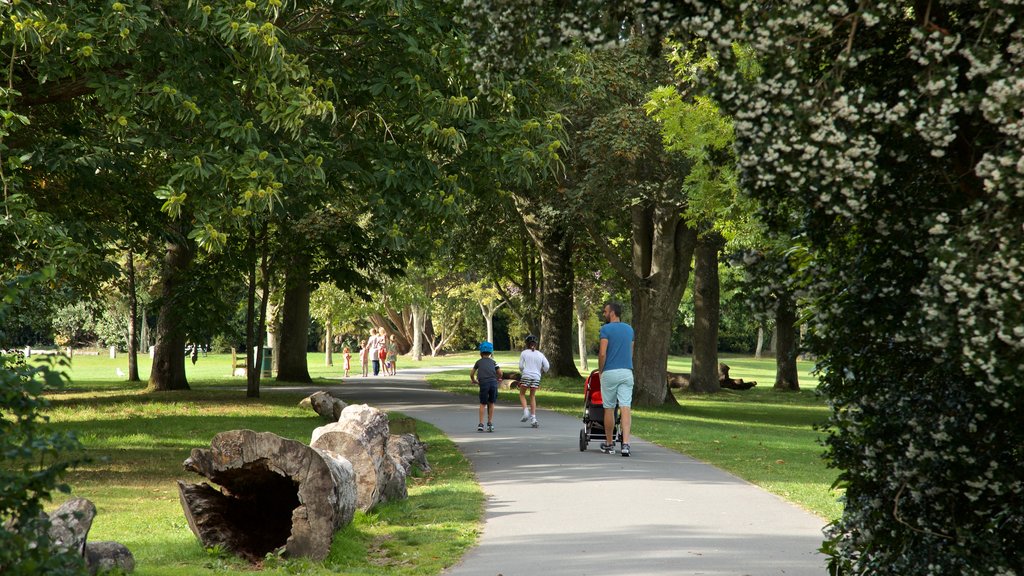 Parque Saumarez mostrando un parque y también una familia