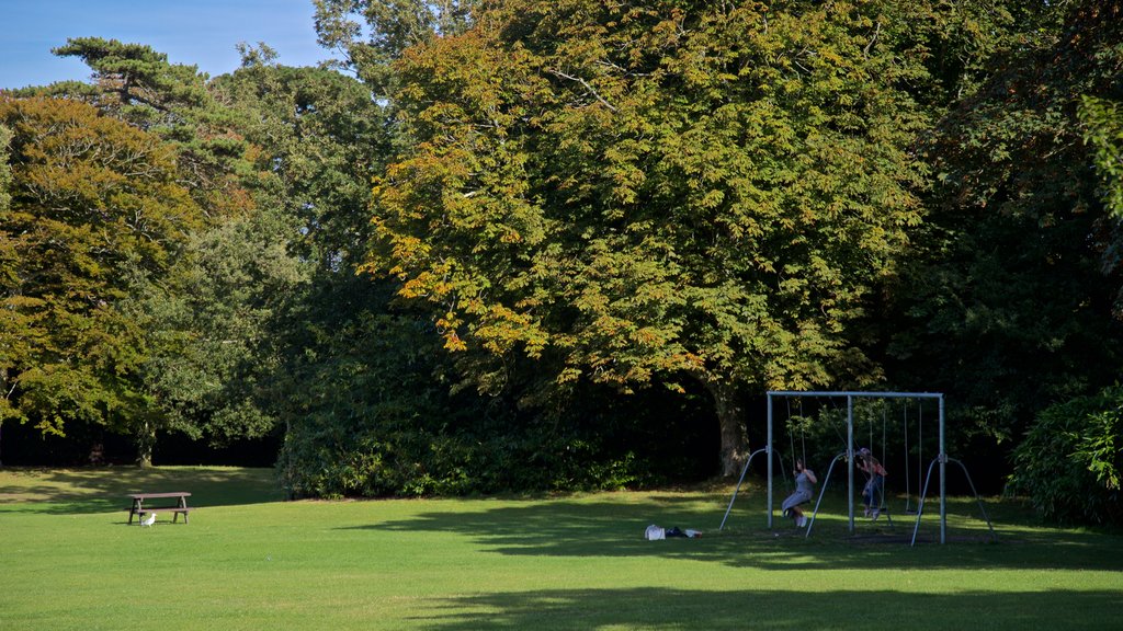 Parque Saumarez que incluye un jardín y también una pareja