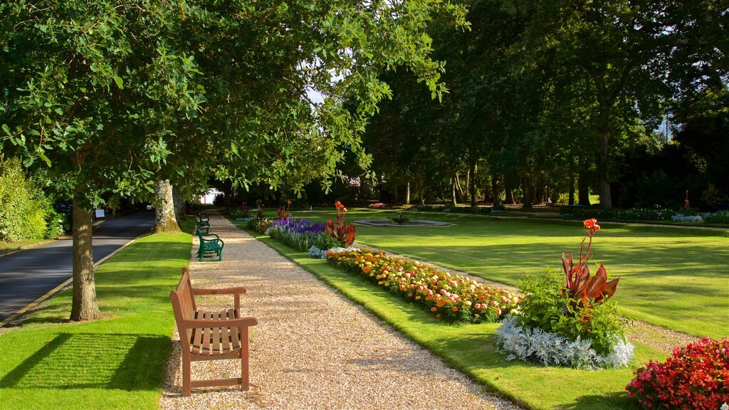 Saumarez Park showing a garden, wild flowers and flowers