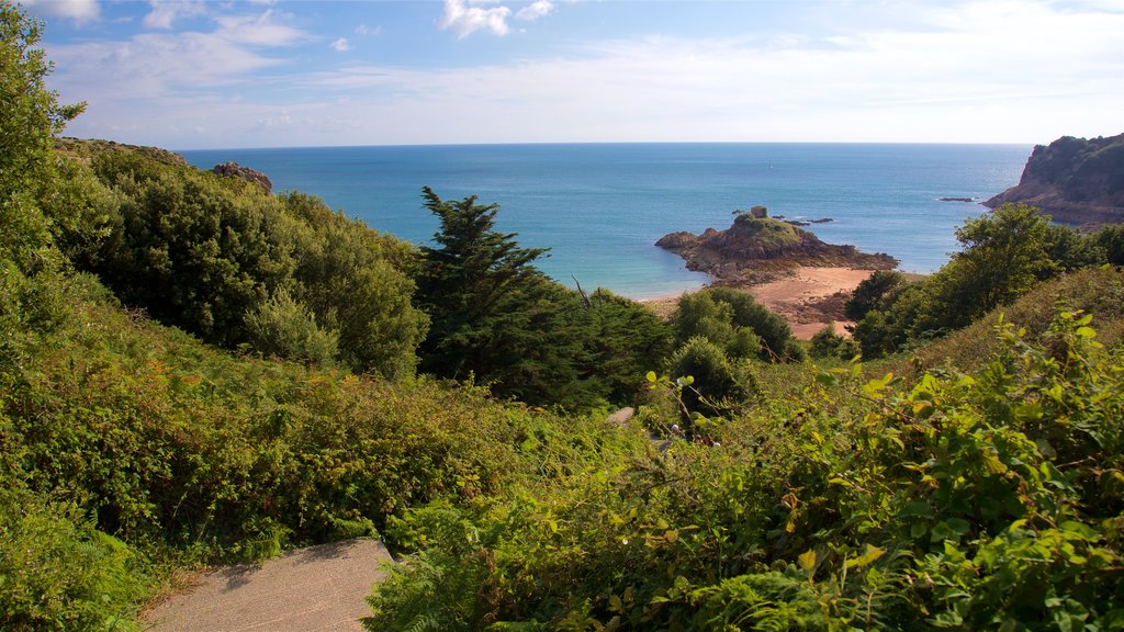 Jersey que incluye vistas generales de la costa y vistas de paisajes