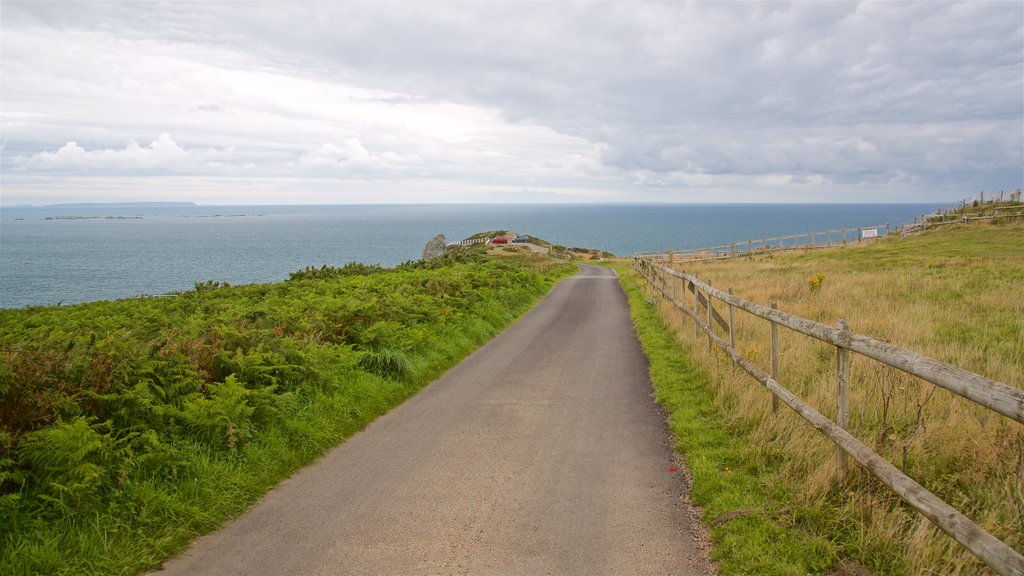 Jersey showing general coastal views