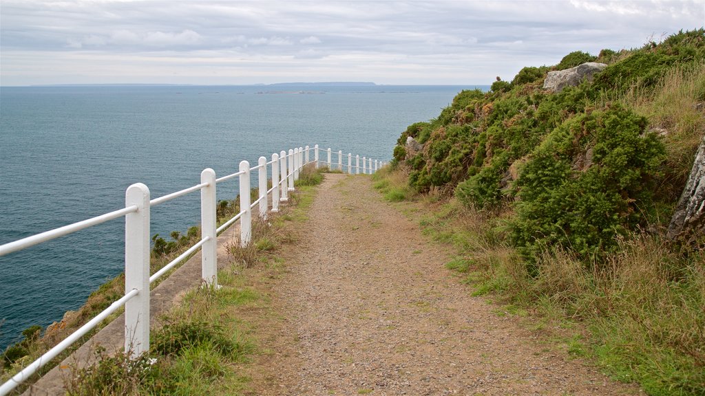 Jersey showing general coastal views