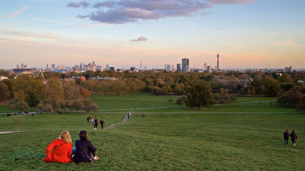 Primrose Hill showing a garden, a sunset and landscape views