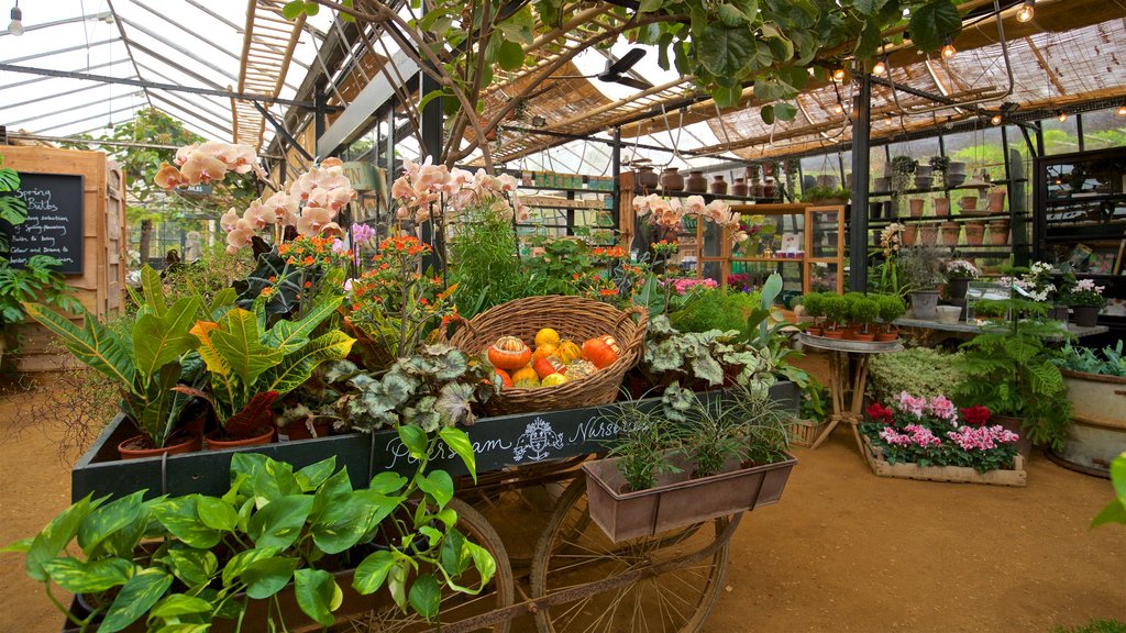 Richmond-upon-Thames mostrando mercados y comida