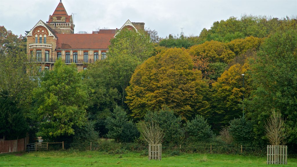 Richmond-upon-Thames showing a park