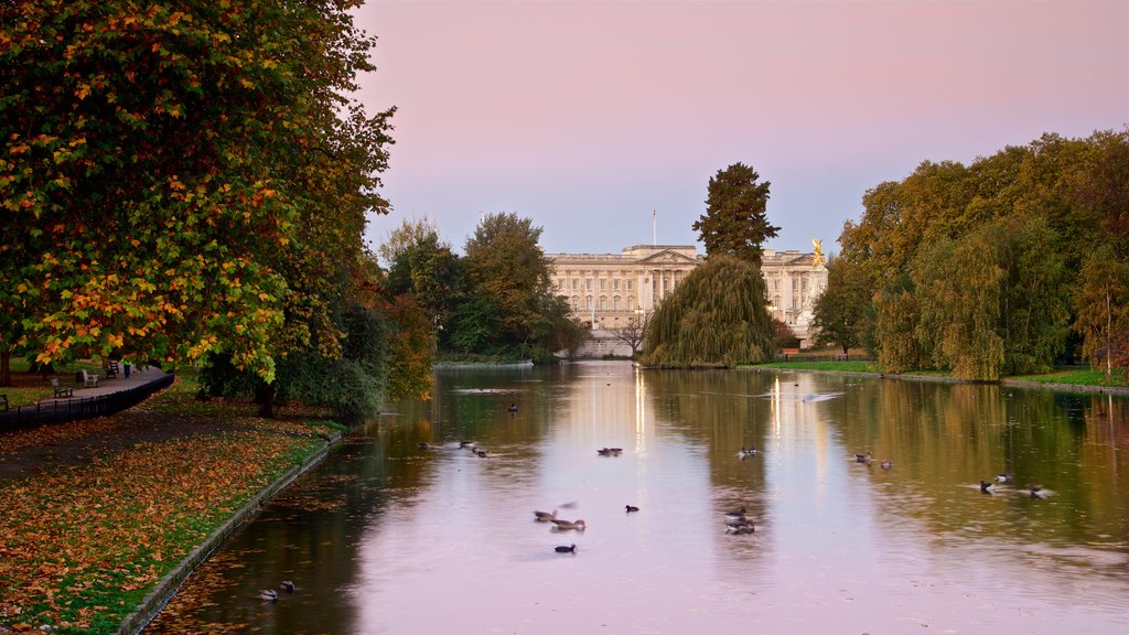 St. James Park which includes a pond, a sunset and bird life