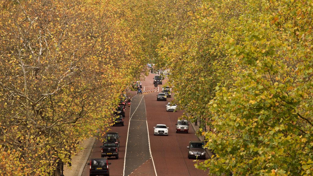 Wellington Arch showing autumn leaves