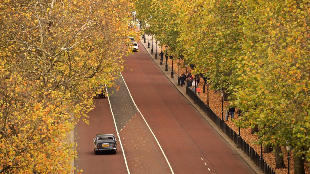 Wellington Arch which includes autumn leaves