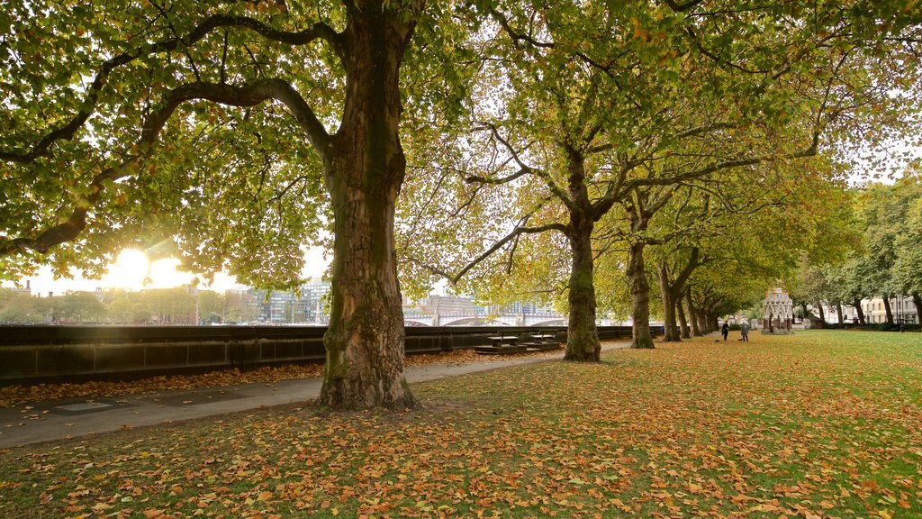 Victoria Tower ofreciendo un jardín y hojas de otoño