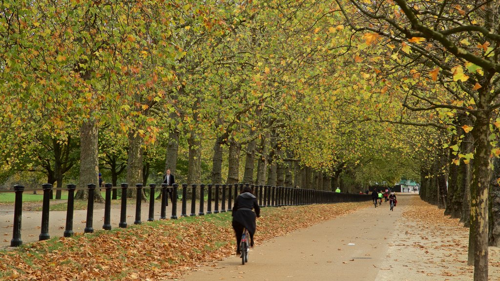 Green Park showing cycling, a park and autumn leaves