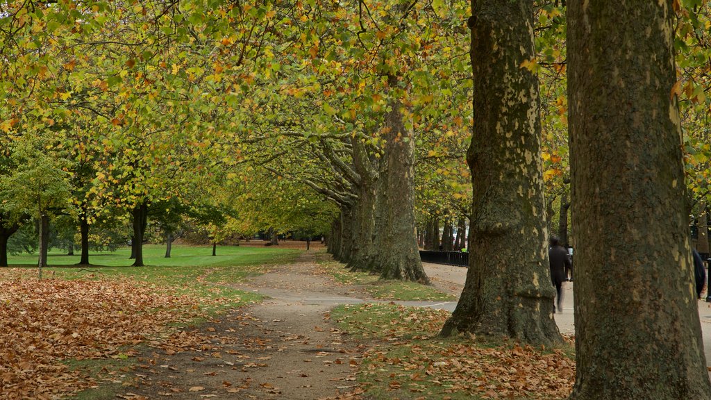 Green Park que incluye jardín y hojas de otoño