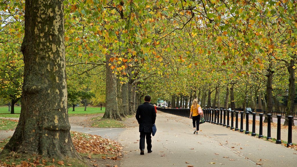 Green Park que incluye un parque y los colores del otoño y también una mujer