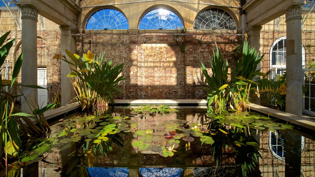 Syon Park which includes a pond