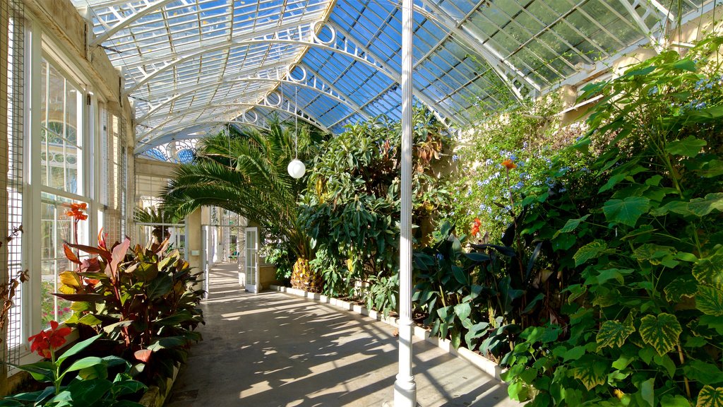 Syon Park showing a garden and interior views