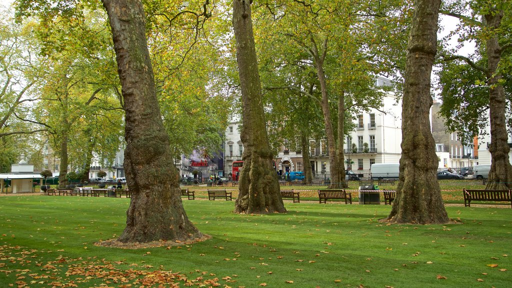 Berkeley Square featuring autumn leaves and a park