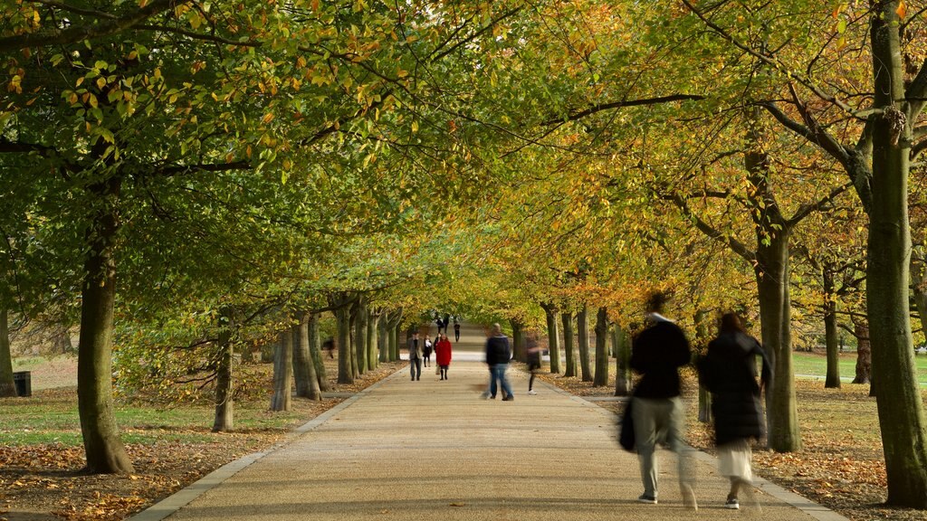 Parque de Greenwich que incluye colores de otoño y jardín