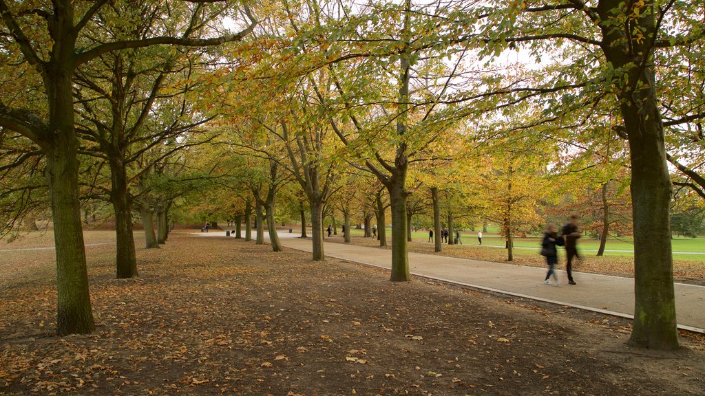 Greenwich Park showing a garden and autumn leaves as well as a couple