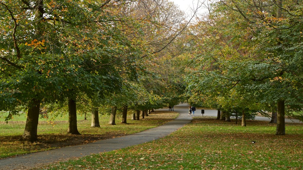 Greenwich Park showing fall colors and a garden