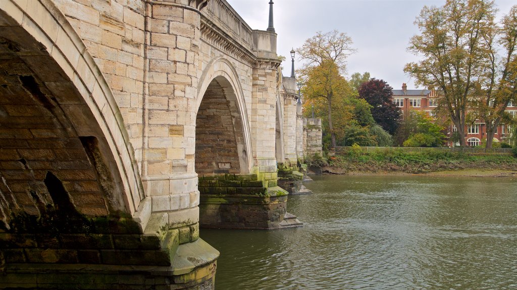 Richmond Bridge featuring a bridge and a river or creek