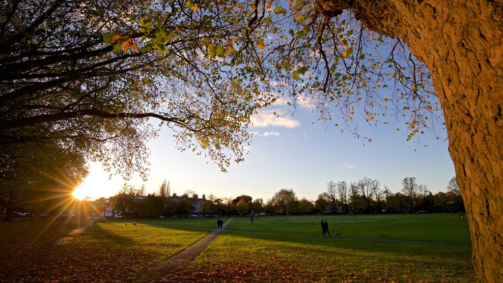 Richmond Green featuring autumn leaves, a sunset and a park