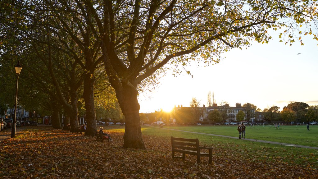 Richmond Green showing a sunset, autumn leaves and a garden