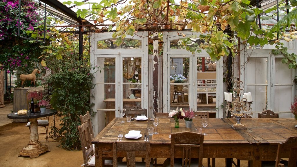 Richmond-upon-Thames showing café scenes