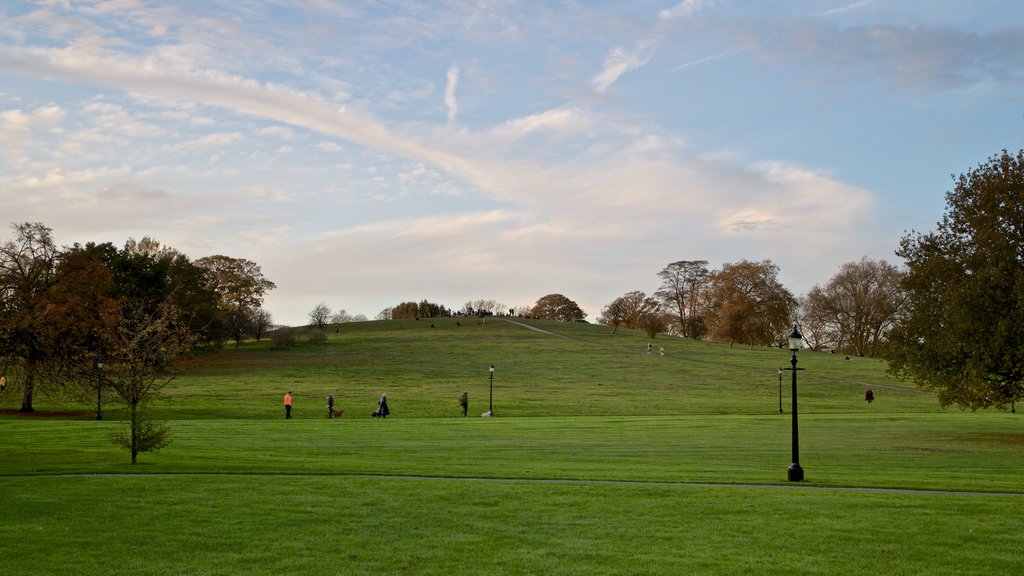 Primrose Hill que incluye un jardín, vistas de paisajes y una puesta de sol