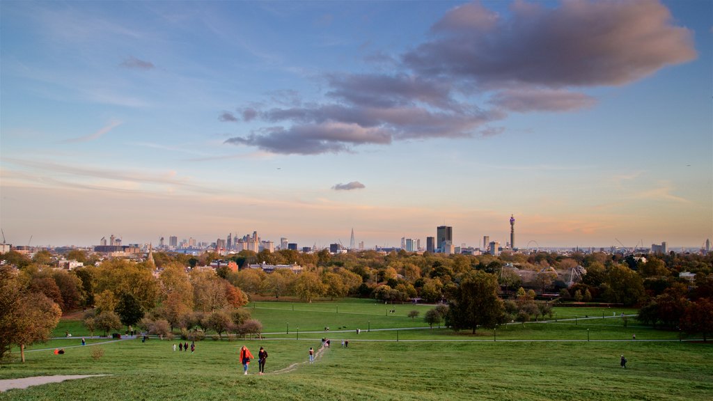 Primrose Hill showing a city, a garden and landscape views