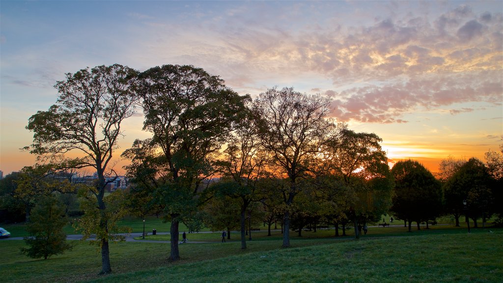 Primrose Hill showing landscape views, a sunset and a garden