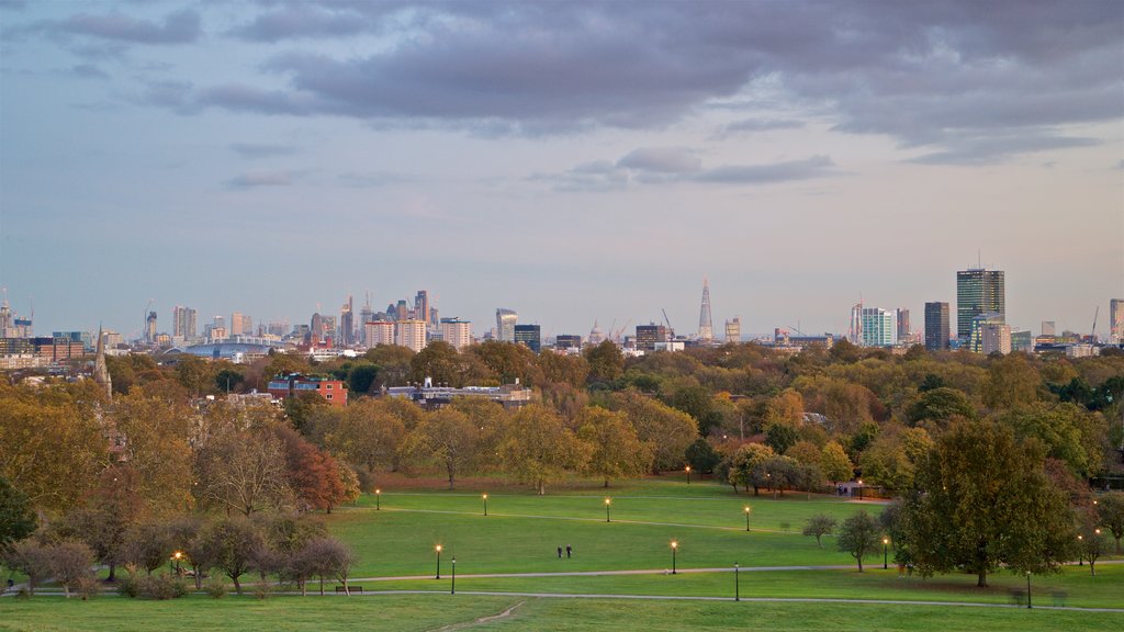 Primrose Hill showing a city, landscape views and a garden