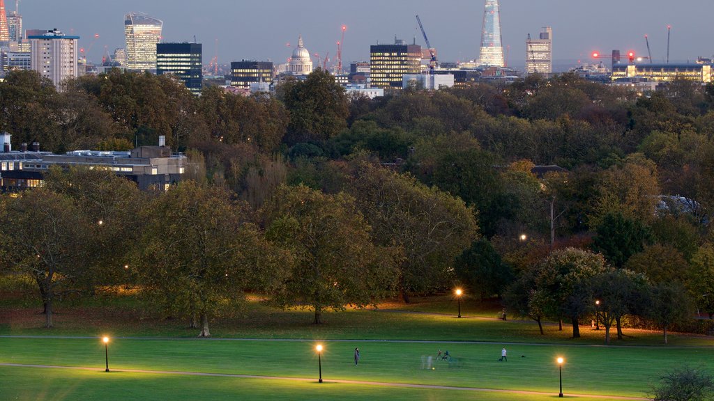 Primrose Hill showing night scenes, a park and a city