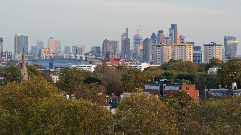 Primrose Hill montrant paysages, silhouette de la ville et une ville