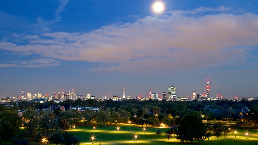 Primrose Hill featuring skyline, night scenes and landscape views