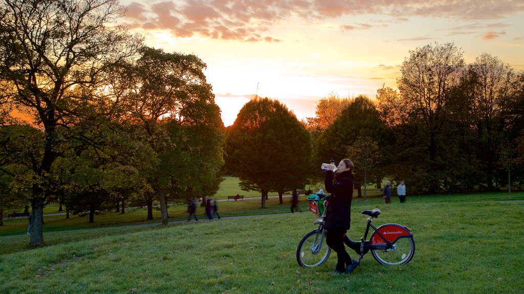 Primrose Hill ofreciendo un parque, ciclismo y una puesta de sol